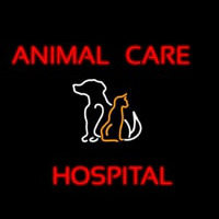 Animal Care Hospital Logo Neon Sign