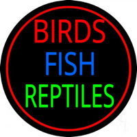 Birds Fish Reptiles 2 Neon Sign