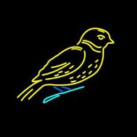 Birds Logo Neon Sign