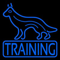 Dog Training Neon Sign