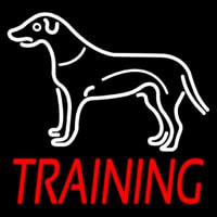 Dog Training Neon Sign