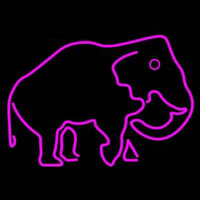 Elephant Neon Sign