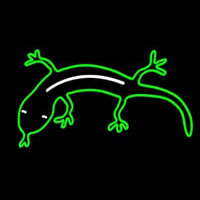 Gecko Neon Sign