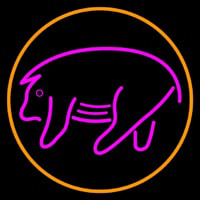 Pink Pig With Circle Neon Sign
