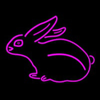 Pink Rabbit Neon Sign