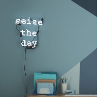 Seize the day Neon Sign