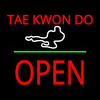 Tae Kwon Do Logo Block Open Green Line Neon Sign