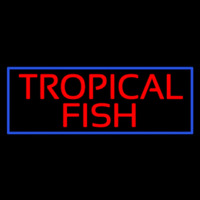 Tropical Fish Blue Border Neon Sign