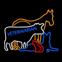 Vet Horse Cow Logo Neon Sign