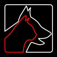 Veterinary Logo Dog Logo Cat Neon Sign