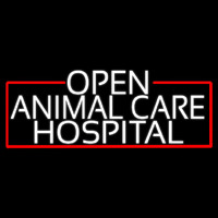White Animal Care Hospital With Red Border Neon Sign